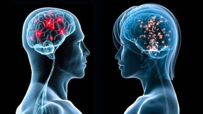 Brains e